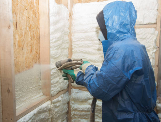 Best Commercial Insulation Services  in Napoleon, OH